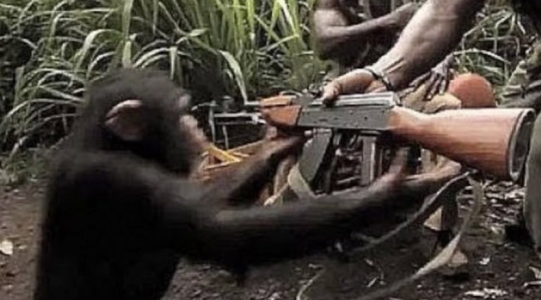 Arming Chimp With AK-47 meme template variation