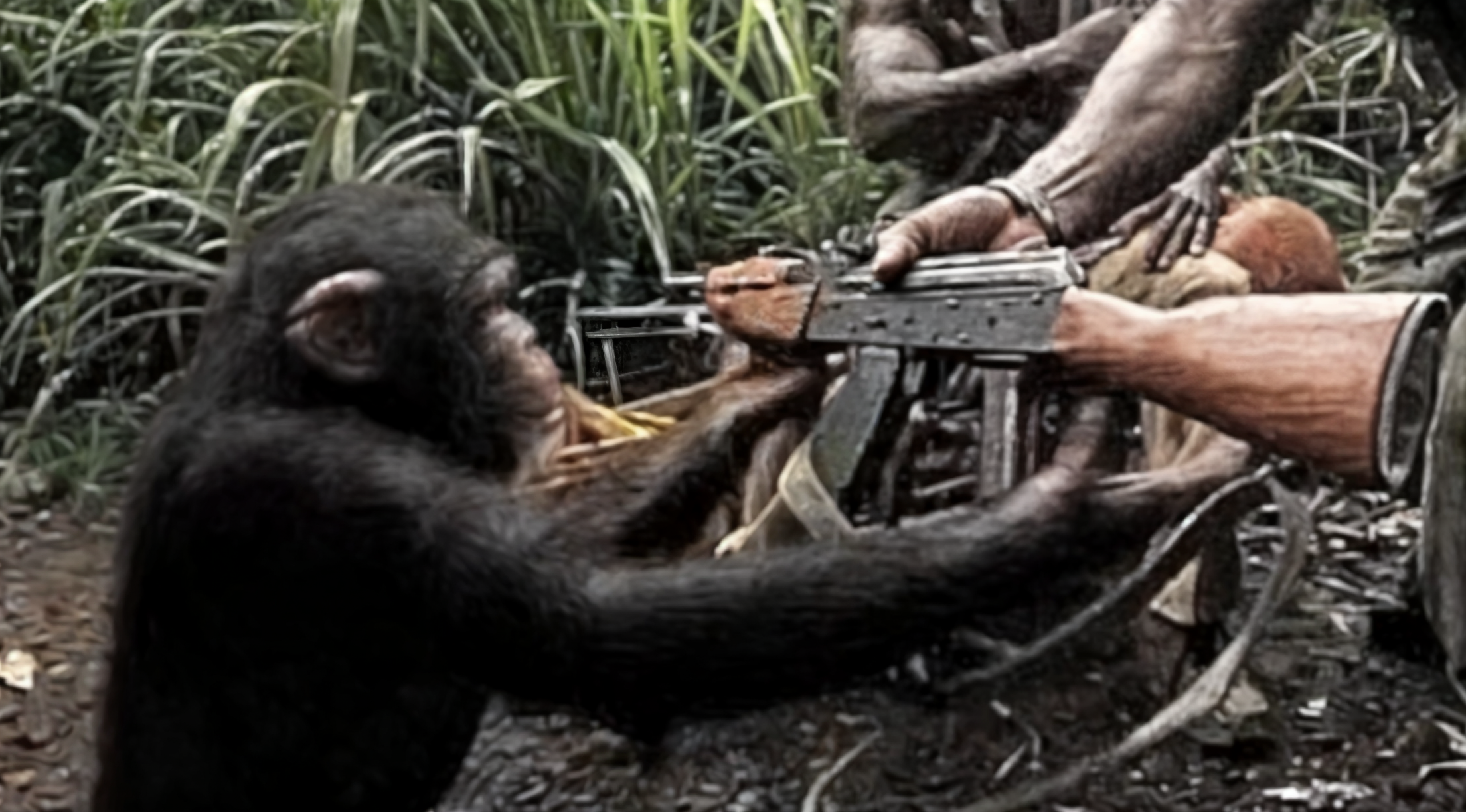 Arming Chimp With AK-47 meme template variation