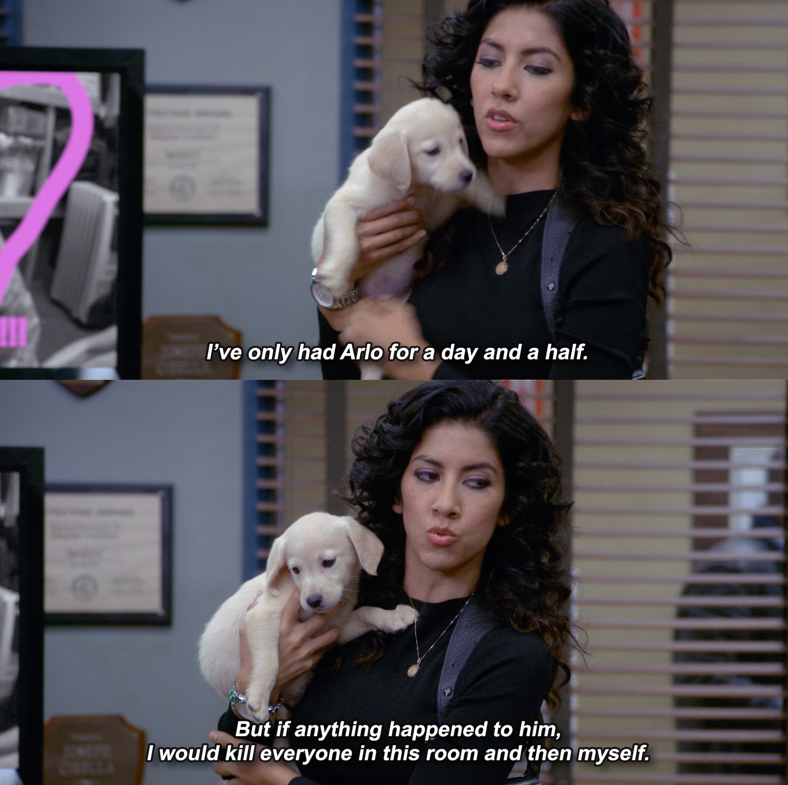 I've Only Had *Blank* For A Day meme template