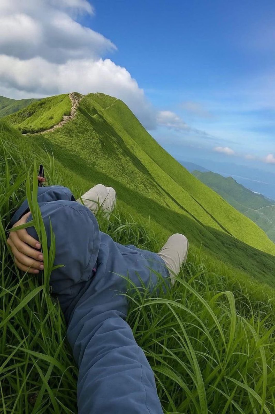 Peaceful Nap On Mountainside Laying in Grass meme template