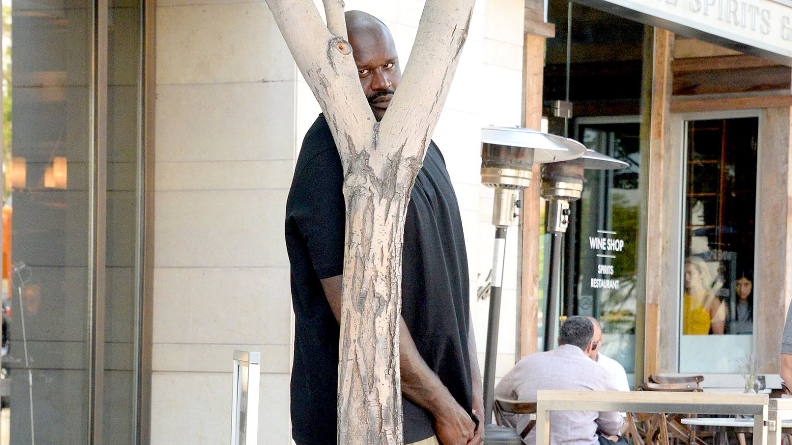 Shaq Hiding Behind Tree meme template variation