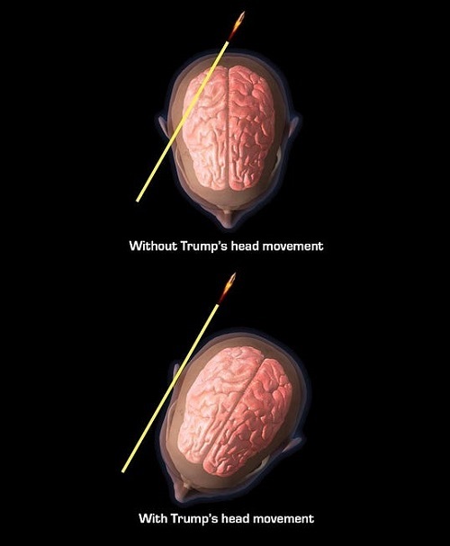 Trump's Head Movement meme template