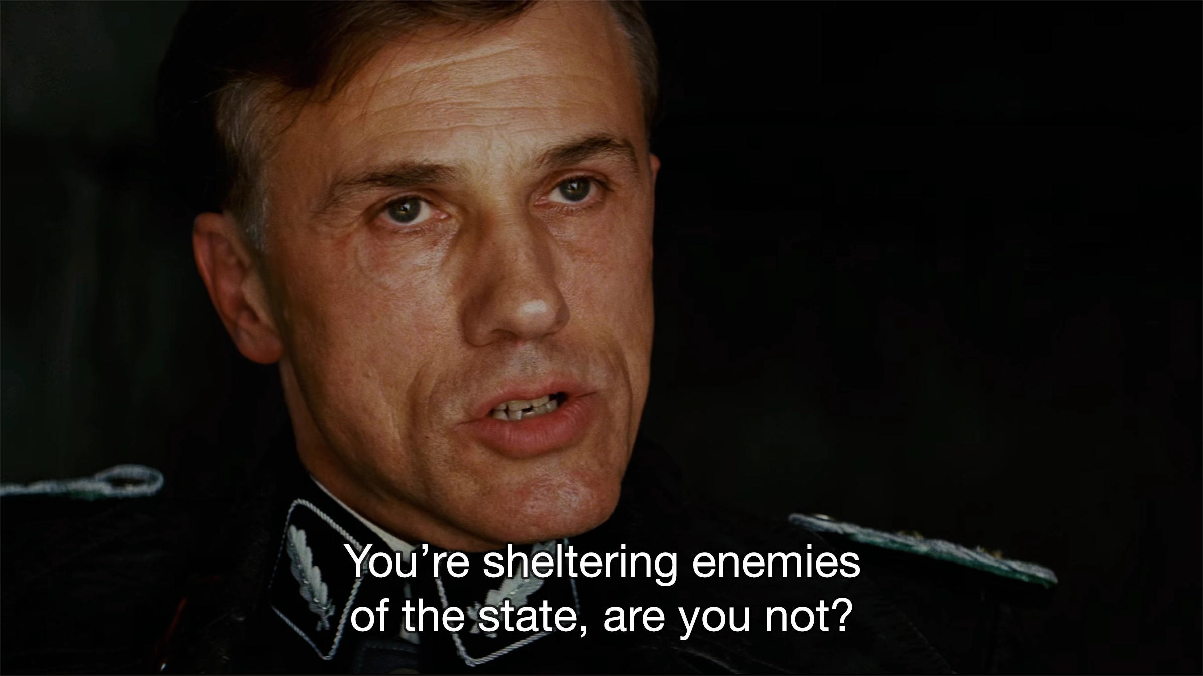 You Are Sheltering Enemies of the State, Are You Not? - Inglourious Basterds meme template variation