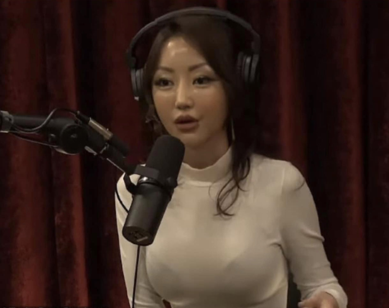 In X Country - Yeonmi Park on Joe Rogan meme template