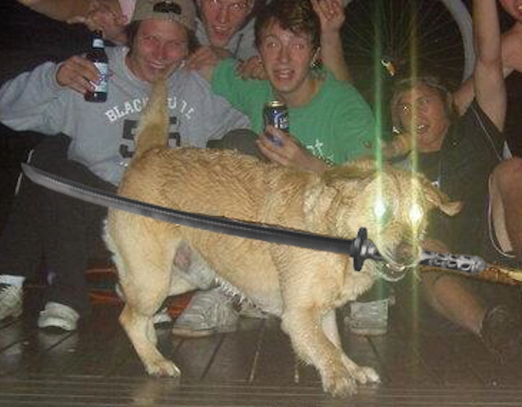 Katana Dog meme template