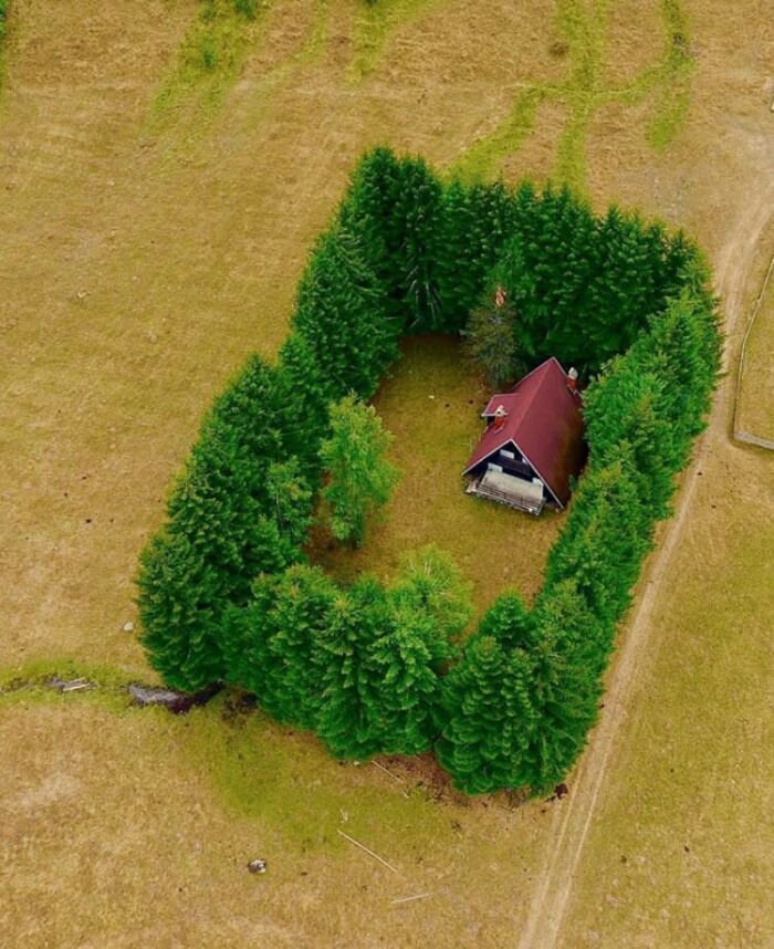 Peaceful House Surrounded By Trees meme template